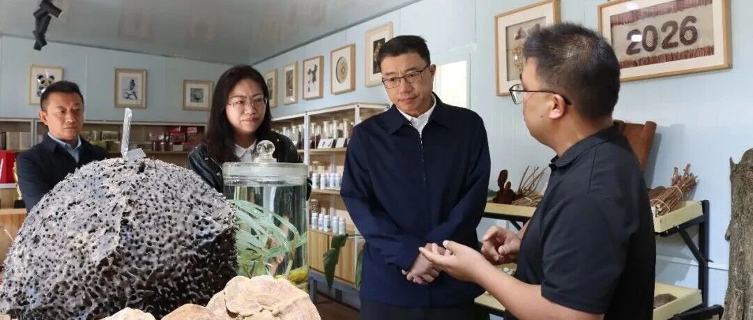 县委主要领导调研小街镇匡郎村 县委主要领导调研小街镇匡郎村