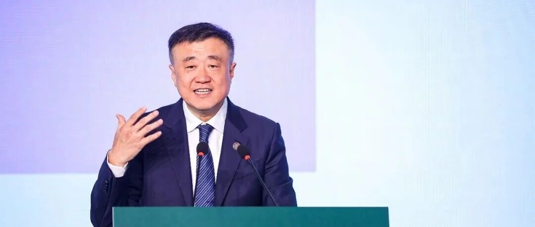 杨斌:慢公益 杨斌:慢公益