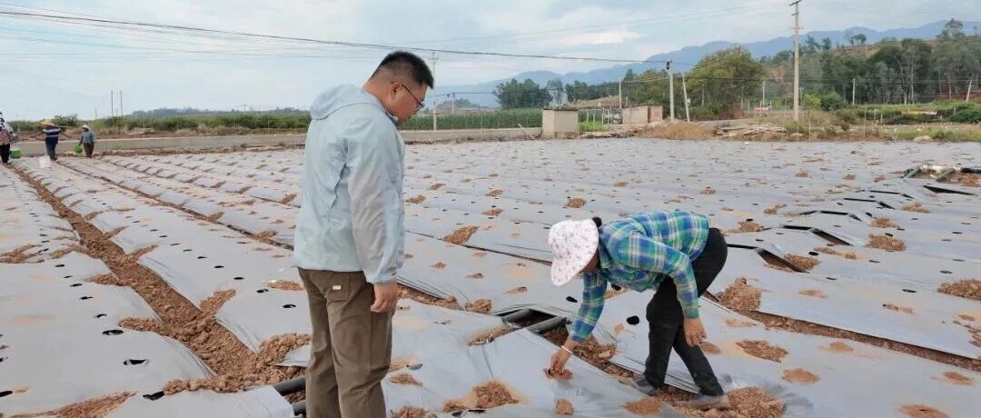 又到南繁播种季 育种“候鸟”再赴元谋 又到南繁播种季 育种“候鸟”再赴元谋