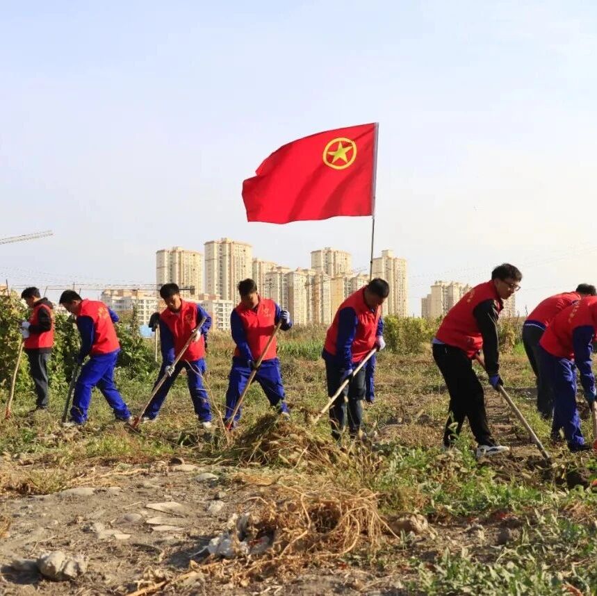 网络中国节·重阳 | 志愿服务暖桑榆 敬老情意润重阳 网络中国节·重阳 | 志愿服务暖桑榆 敬老情意润重阳