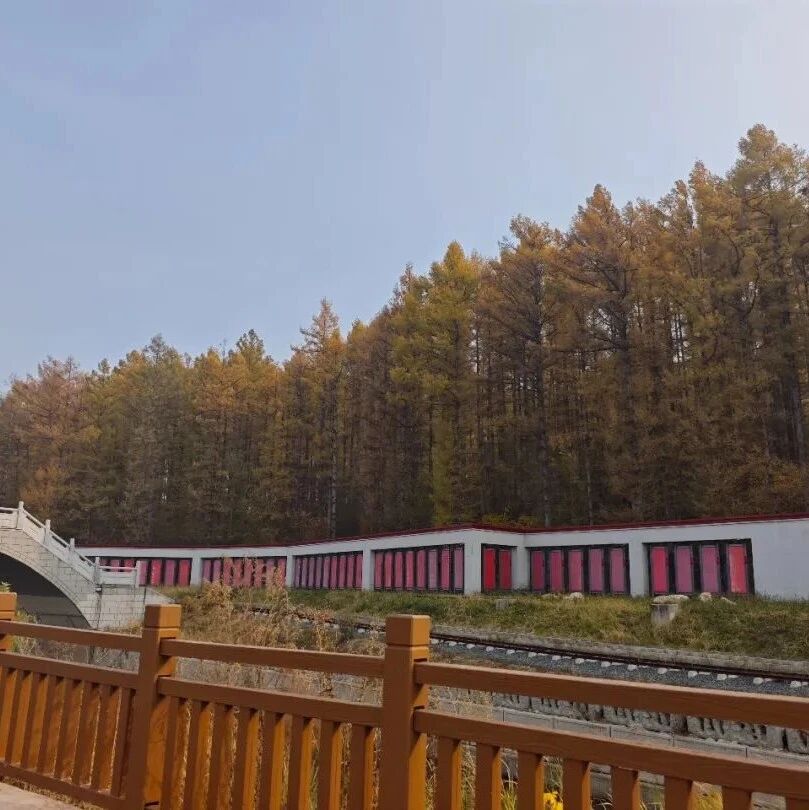 “灰泥村” 变身文旅打卡地!长春马鞍山村:生态修复铺就共富路 | 美丽中国行⑨ “灰泥村” 变身文旅打卡地!长春马鞍山村:生态修复铺就共富路 | 美丽中国行⑨
