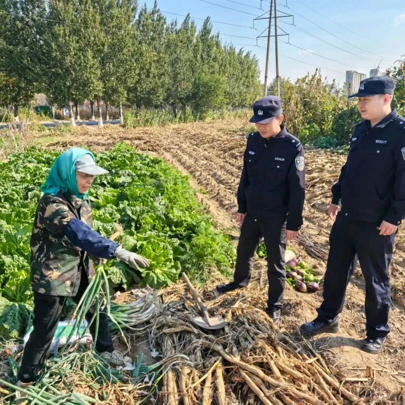 宏伟警事 | 金秋护丰收 “警”色守良田