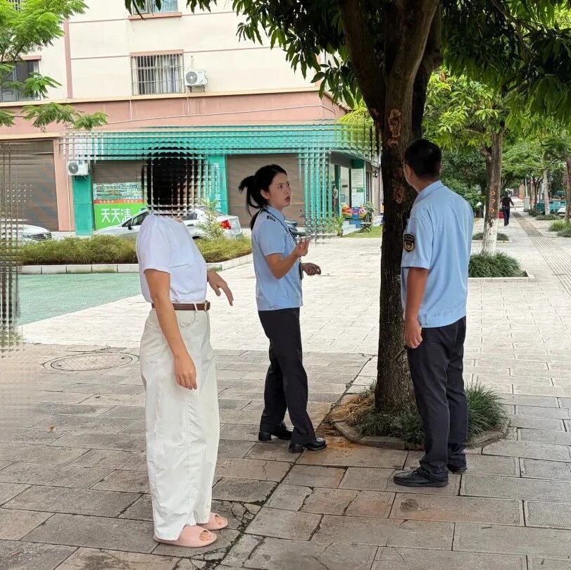 【依法治县】恶意损绿行为不可取 景谷一商户受到相应行政处罚并接受教育 【依法治县】恶意损绿行为不可取 景谷一商户受到相应行政处罚并接受教育