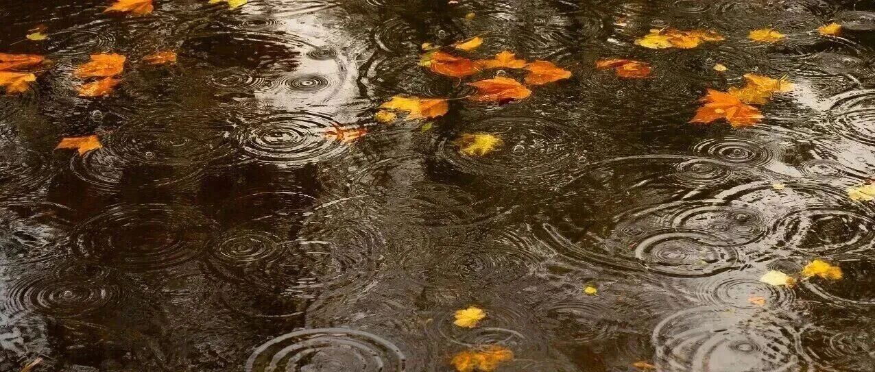 大部有大到暴雨!北京将迎入秋后最强降雨,强度同期罕见 大部有大到暴雨!北京将迎入秋后最强降雨,强度同期罕见
