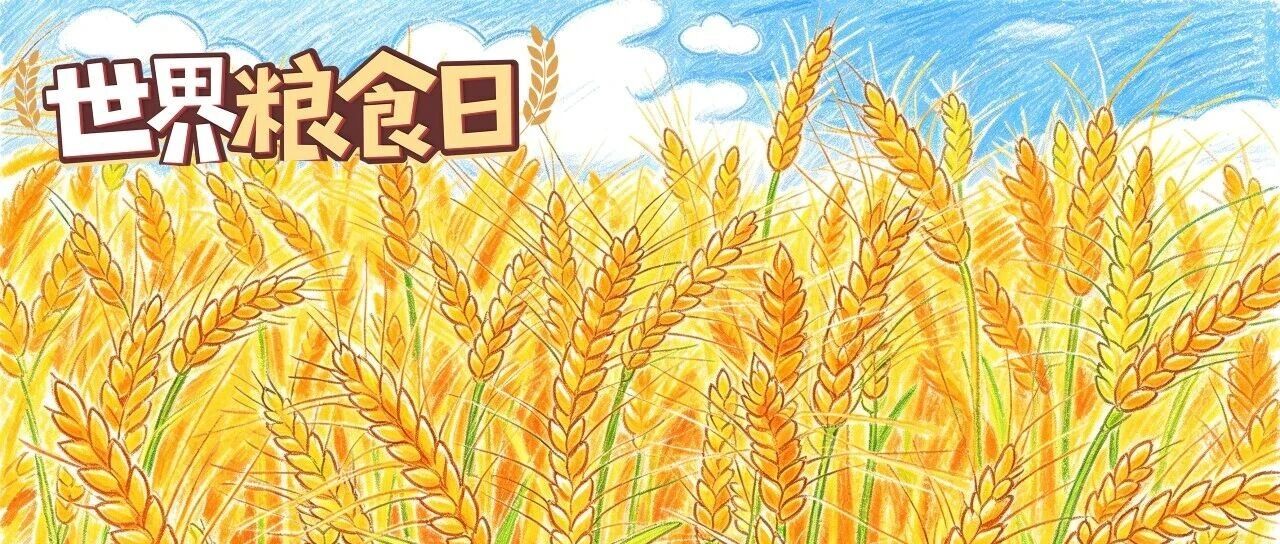 世界粮食日|“塞外粮仓”,底气何来? 世界粮食日|“塞外粮仓”,底气何来?