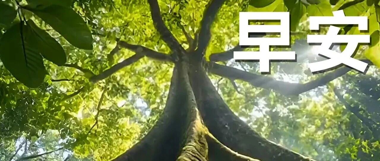 早安 津南丨早餐喝牛奶还是酸奶好?研究发现:喝酸奶的人,多项指标“赢麻了” 早安 津南丨早餐喝牛奶还是酸奶好?研究发现:喝酸奶的人,多项指标“赢麻了”
