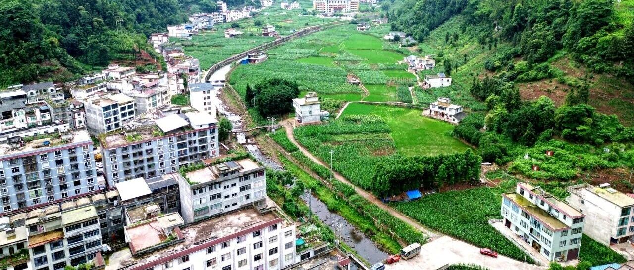 “小网格”管好“百家事”——盐津基层社会治理的兴隆样本