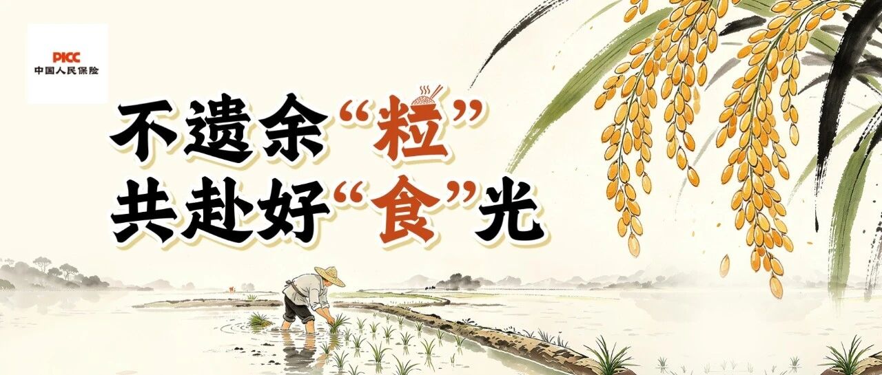 不遗余“粒”，共赴好“食”光