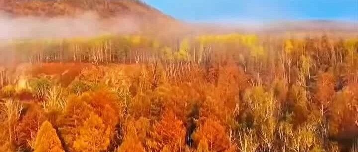 半月速览｜千万浏览见证，兴安故事出海传声