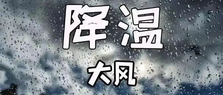降水、大风、降温！我县最新天气预报→