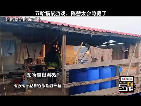 五哈猫鼠游戏，陈赫太会隐藏了