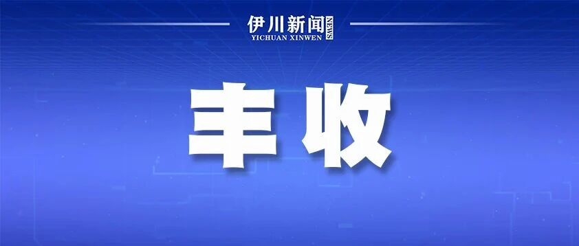 伊川：深耕农事服务 抢抓时机护秋收