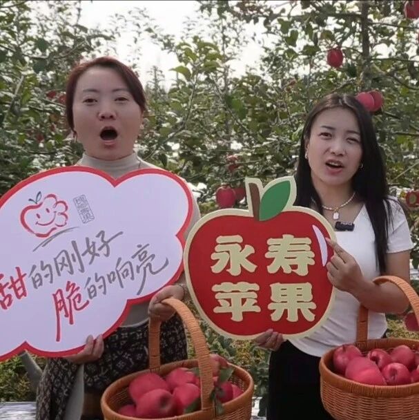 永寿县工商联开展果业走访调研活动