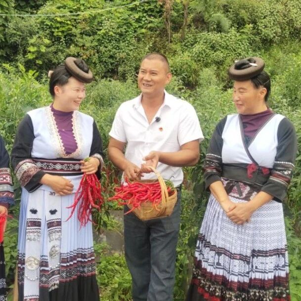 东村镇：以实干赋能乡土好物 万宝山辣椒借网出圈