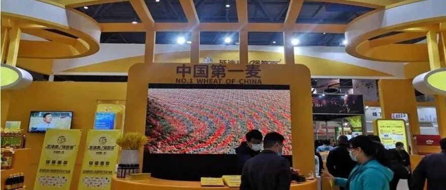 【媒体看延津】从一粒小麦到特色品牌，看延津质量强县建设之路