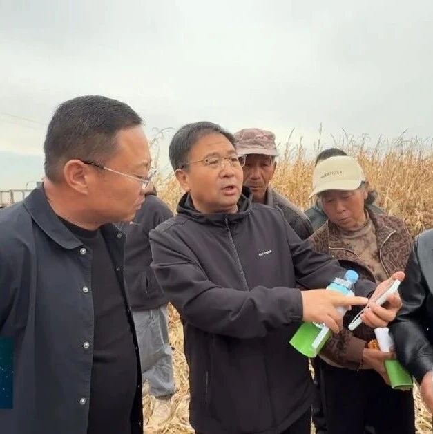 【丰收一线】农技下沉到田间 护航秋粮颗粒归仓