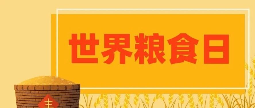 世界粮食日 | 创新当下 粮安未来
