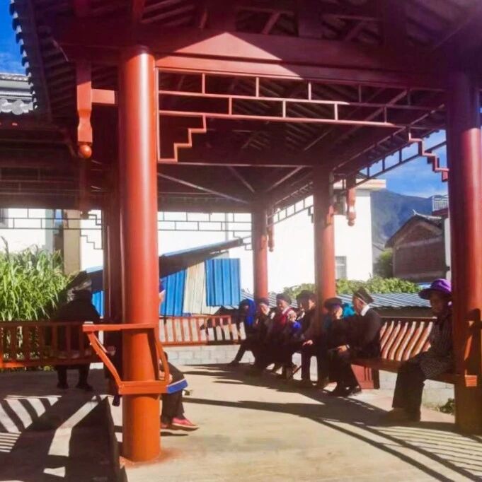 辛屯镇双龙村大龙溪南组党群活动点建成投用