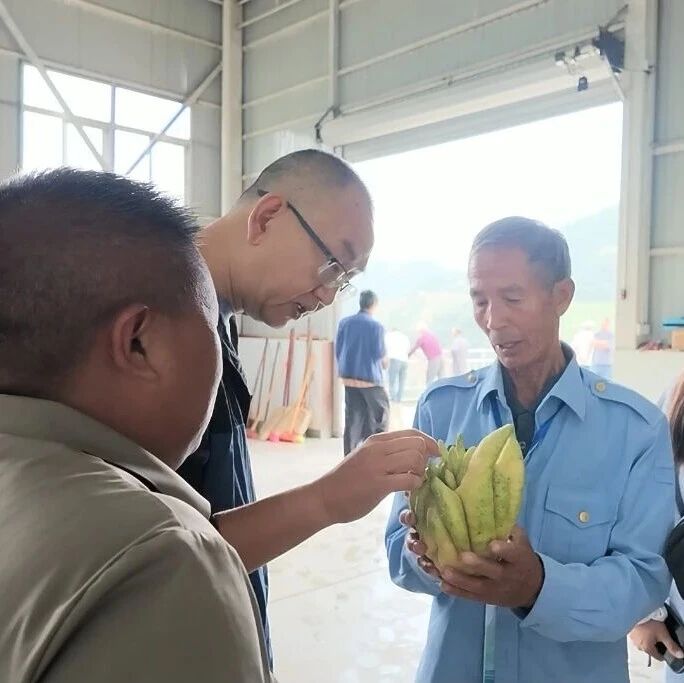 玉溪高素质农民培训班到和平镇观摩佛手种植产业
