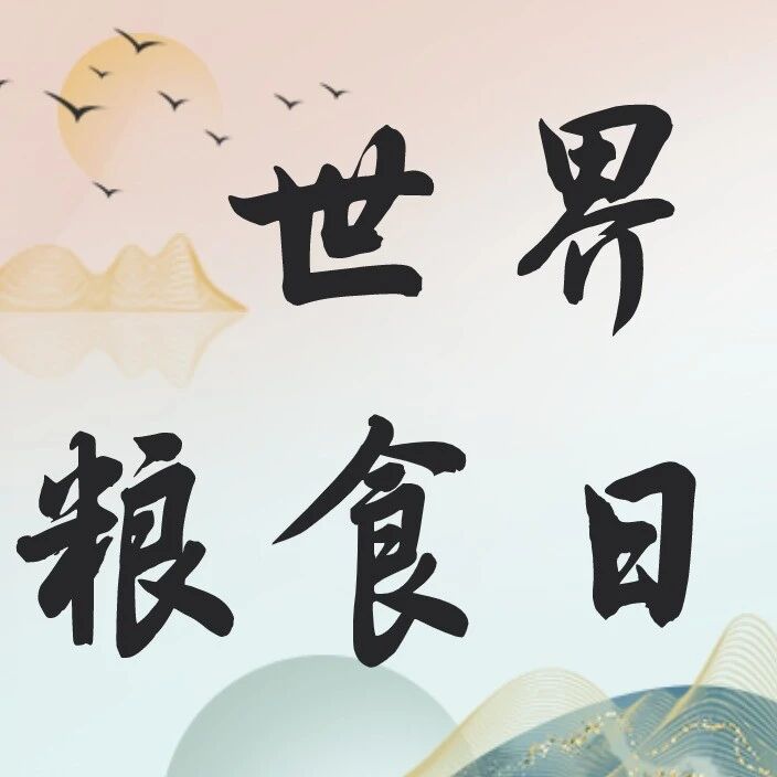 创新当下 粮安未来——哈投集团三家权属企业同向发力，筑牢区域粮食安全防线