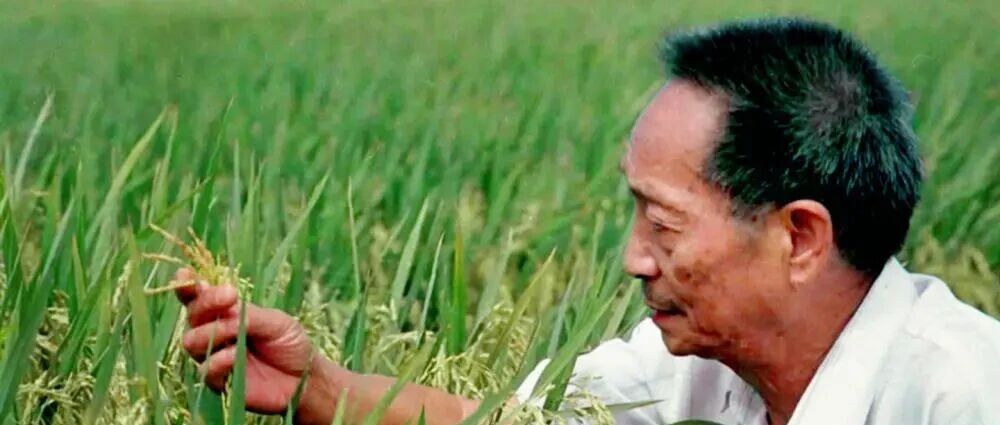今天，我们格外怀念他