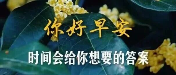 早安内黄 | 时间会给你想要的答案