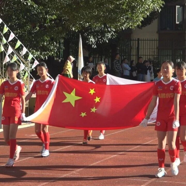 金碧小学第七届校园足球文化节开幕 金碧小学第七届校园足球文化节开幕