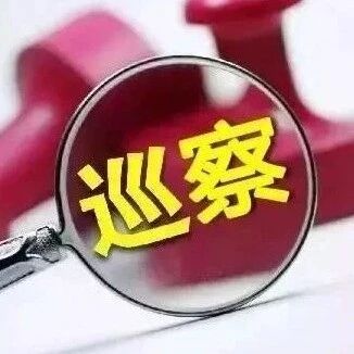 区委第五巡察组向区委统战部反馈巡察情况
