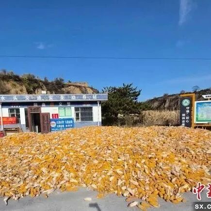 【我为群众办实事】阳曲:劝导站变身“晒粮场” 服务秋收暖民心 【我为群众办实事】阳曲:劝导站变身“晒粮场” 服务秋收暖民心