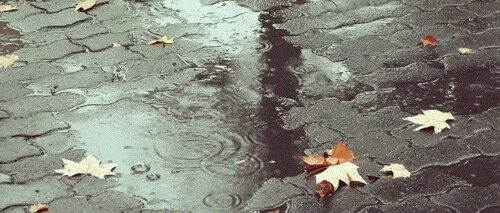 最低7℃！今天夜里到明天我市有中到大雨→