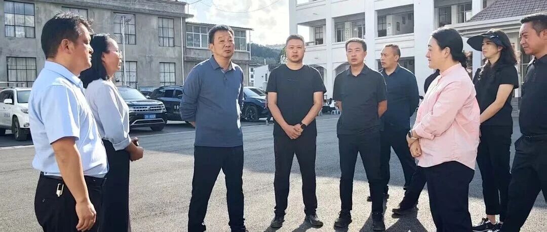 马子兴到芒棒镇、五合乡开展综合调研