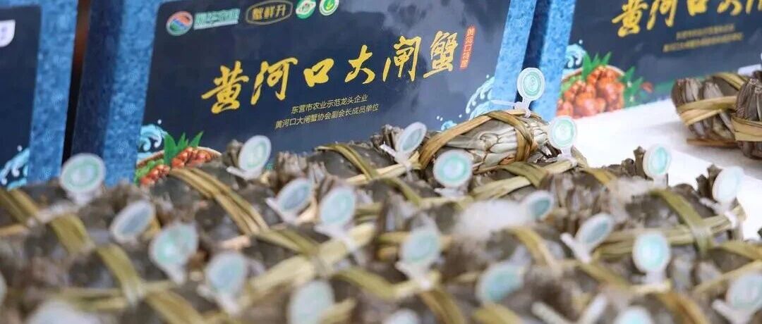 大闸蟹价格“跳水”？有黄河口蟹子在盒马华北卖增2到3倍！记者实探，蟹蟹不一