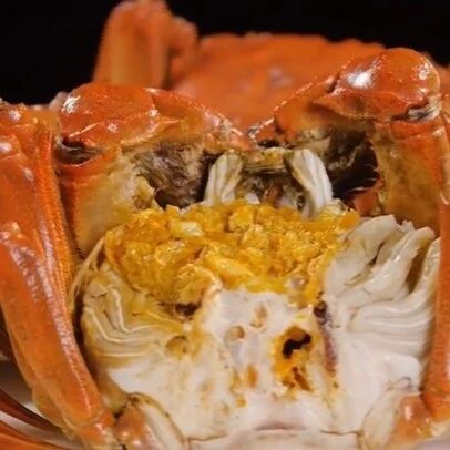 金秋吃蟹正当时 美味虽鲜需适度 金秋吃蟹正当时 美味虽鲜需适度
