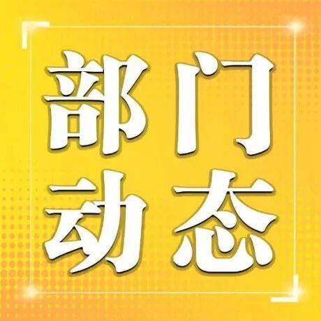 【部门动态】区房产局多措并举稳楼市 全力推动房地产市场平稳健康发展