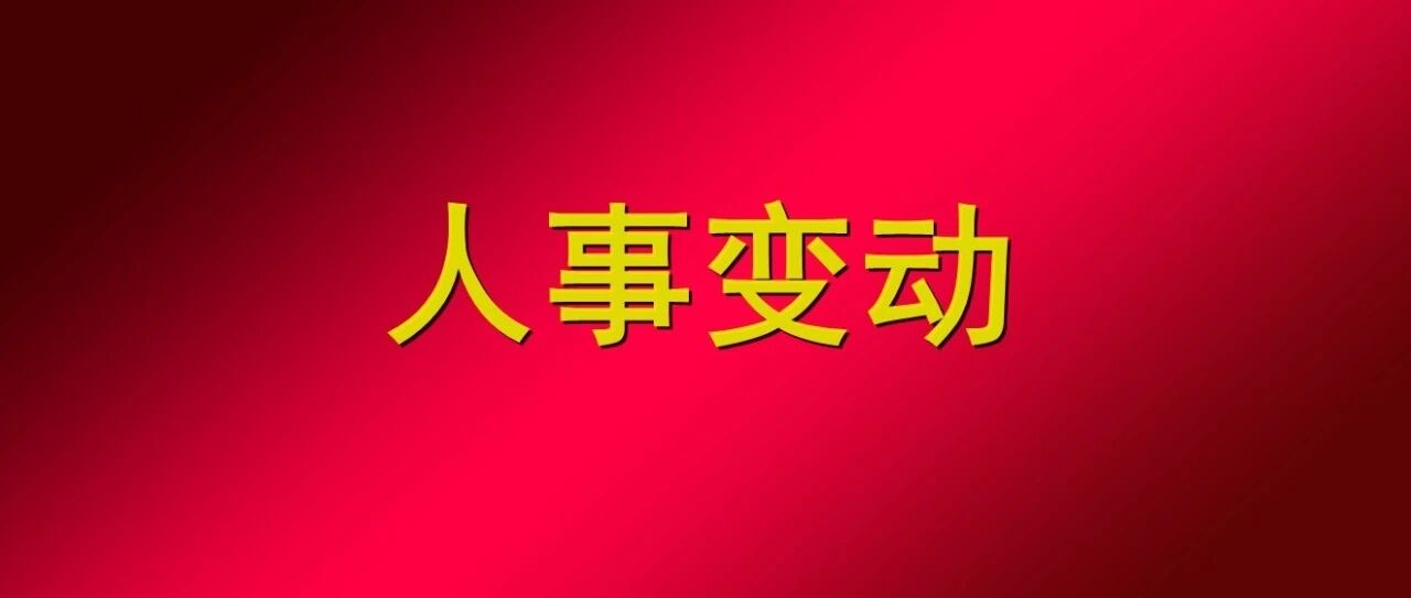 副董事长突然辞职！某光伏企业高层再次生变
