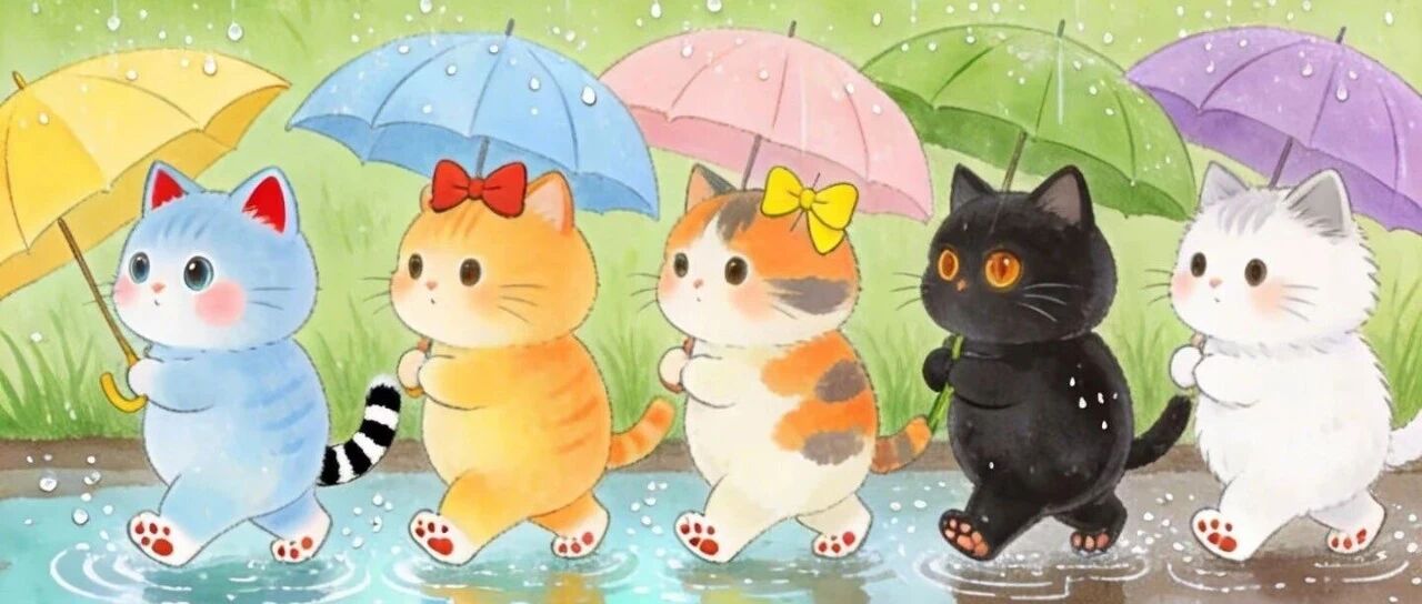 今夜有雨 明日转晴 阵风7级