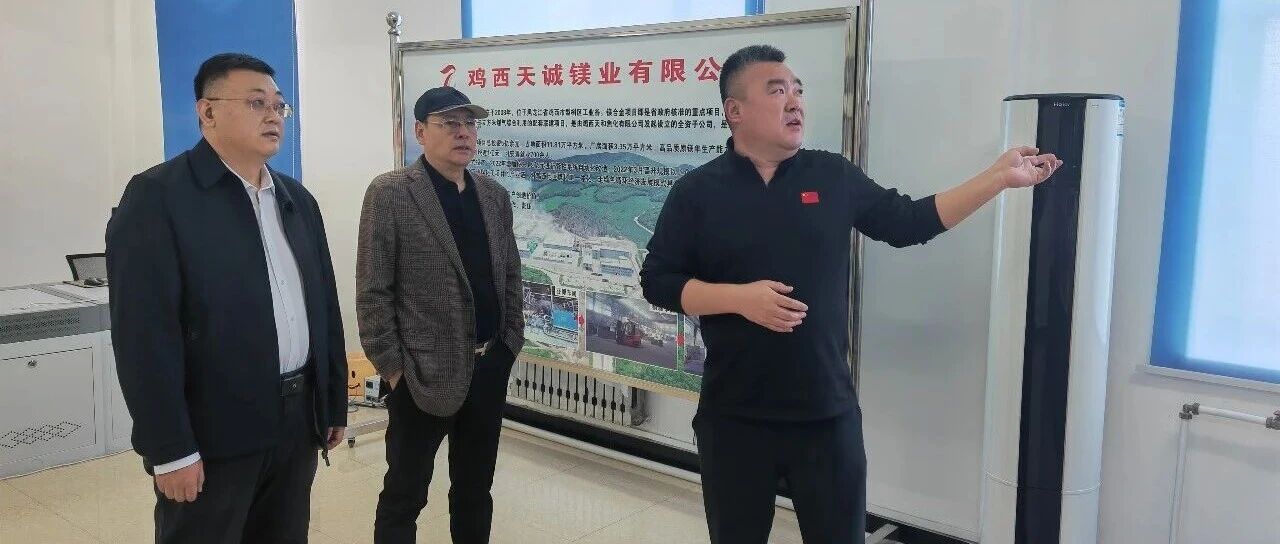 赵欣儒深入梨树工业谷开展综合调研 赵欣儒深入梨树工业谷开展综合调研