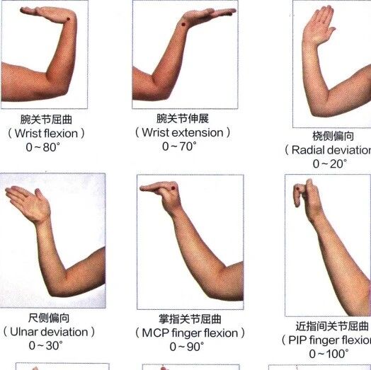 最全面的腕关节检查手法图解 最全面的腕关节检查手法图解