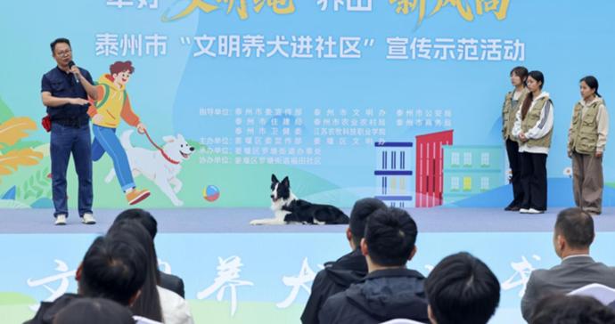 牵好“文明绳”!泰州这场养犬活动,把科学养宠知识送进社区 牵好“文明绳”!泰州这场养犬活动,把科学养宠知识送进社区
