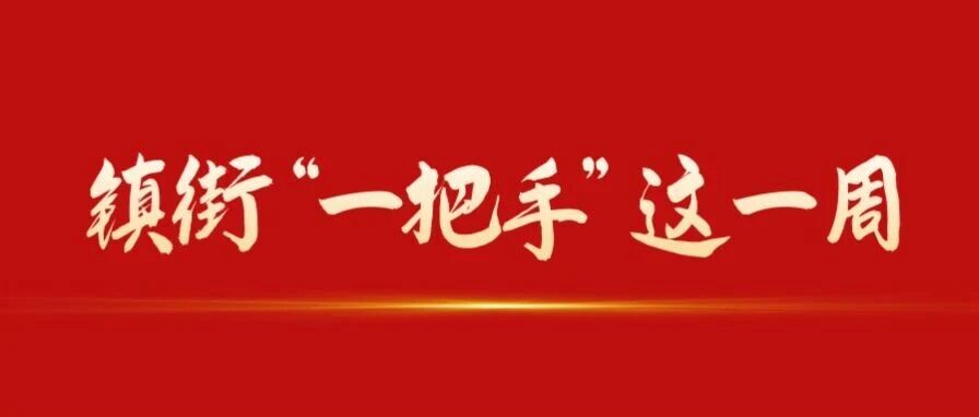 镇街“一把手”这一周丨躬身实干 满格奋进
