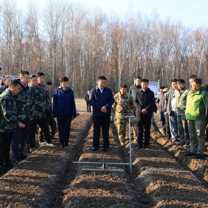 党建引领聚合力垦地共建促振兴｜西丰镇开展2026年垦地合作现场学习观摩交流活动