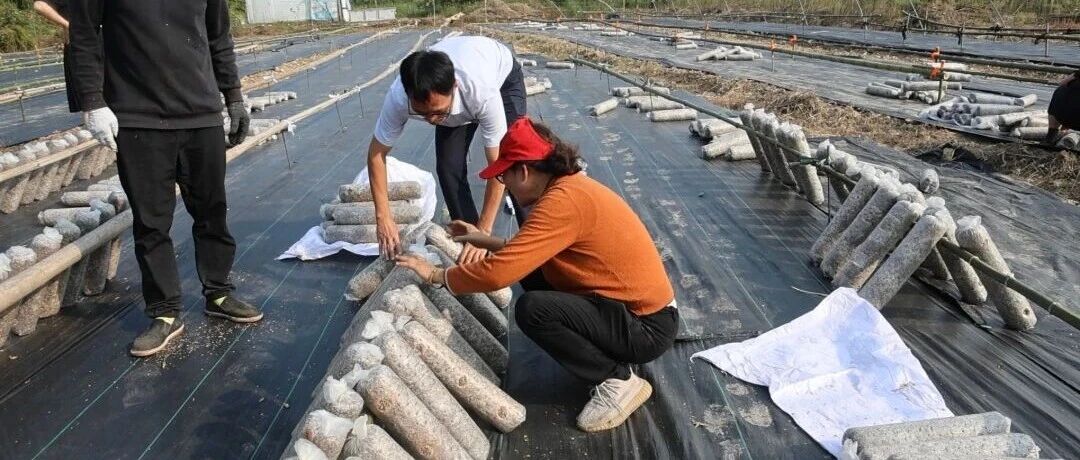 变废为宝!永康助农增收出新招 变废为宝!永康助农增收出新招
