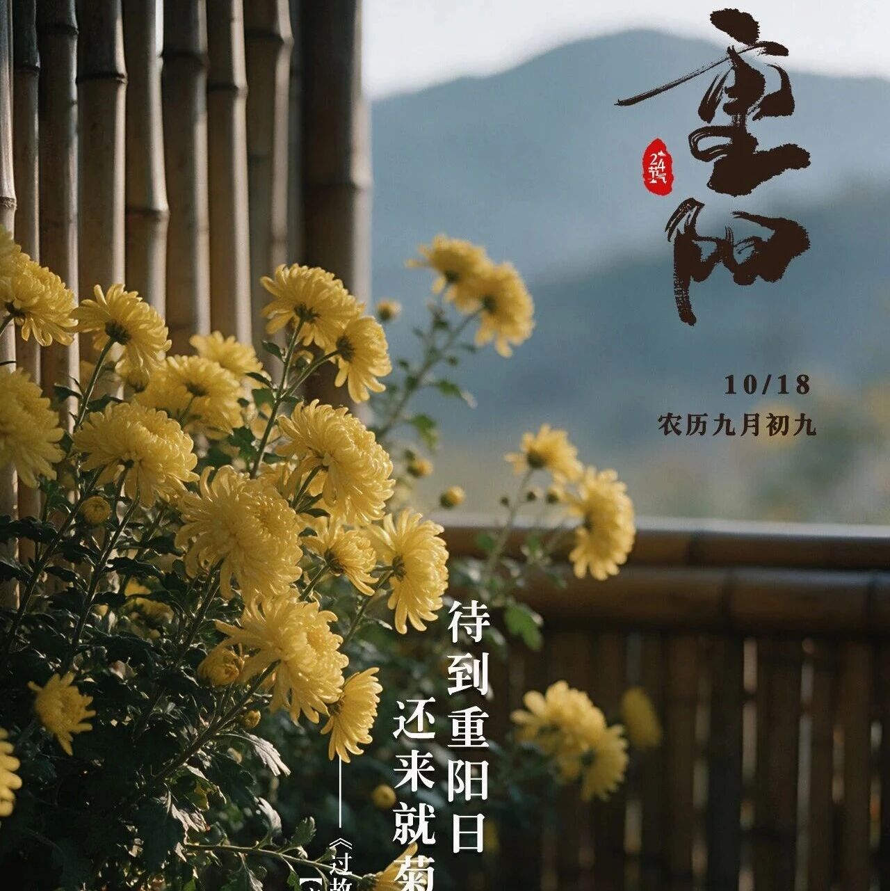海报丨岁岁重阳  今又重阳