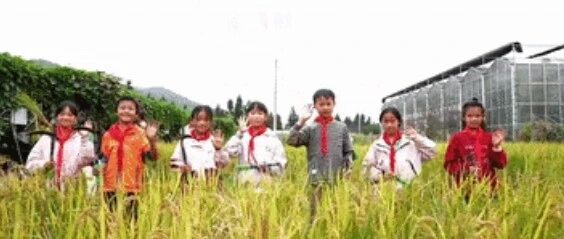 【新华社】一周看宣威