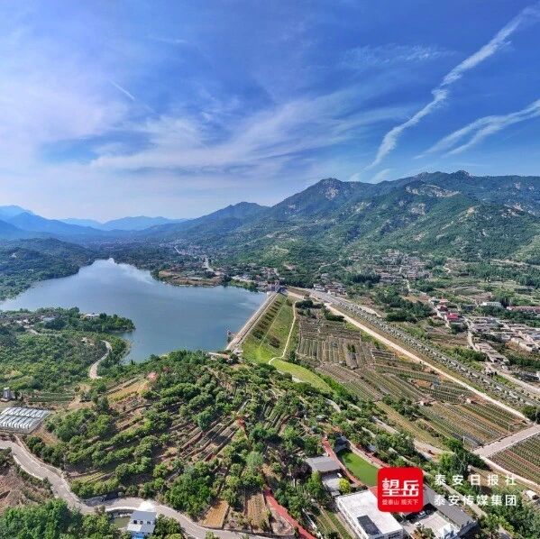 护绿筑基促转型 保护发展共赋能 泰山区国家重点生态功能区评价创佳绩 位列全国第13、全省第1 护绿筑基促转型 保护发展共赋能 泰山区国家重点生态功能区评价创佳绩 位列全国第13、全省第1