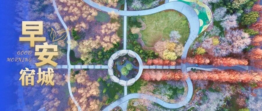 早安，宿城丨最热一年要来了