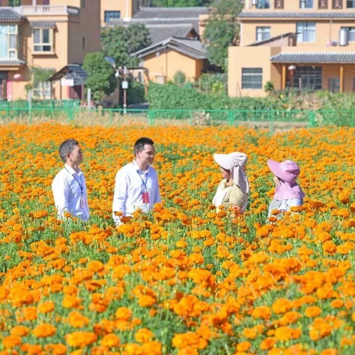 【中国纪检监察报】云南省曲靖市宣威市纪委监委一线走访摸实情 持续整治群众身边不正之风和腐败问题