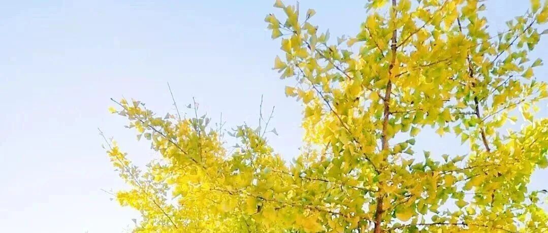 自在嵩明丨牛栏江镇的秋！山野藏盛景，烟火润人心