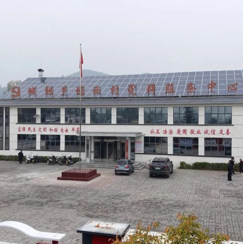 凤翼镇坞西村：党建引领提质效 乡村治理暖民心