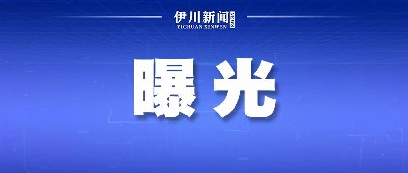 不系安全带!伊川曝光一批车辆…… 不系安全带!伊川曝光一批车辆……